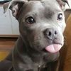 lopez_0616094